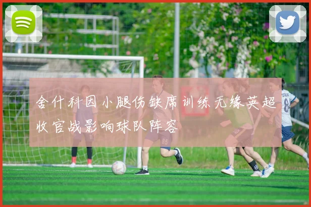 舍什科因小腿伤缺席训练无缘英超收官战影响球队阵容