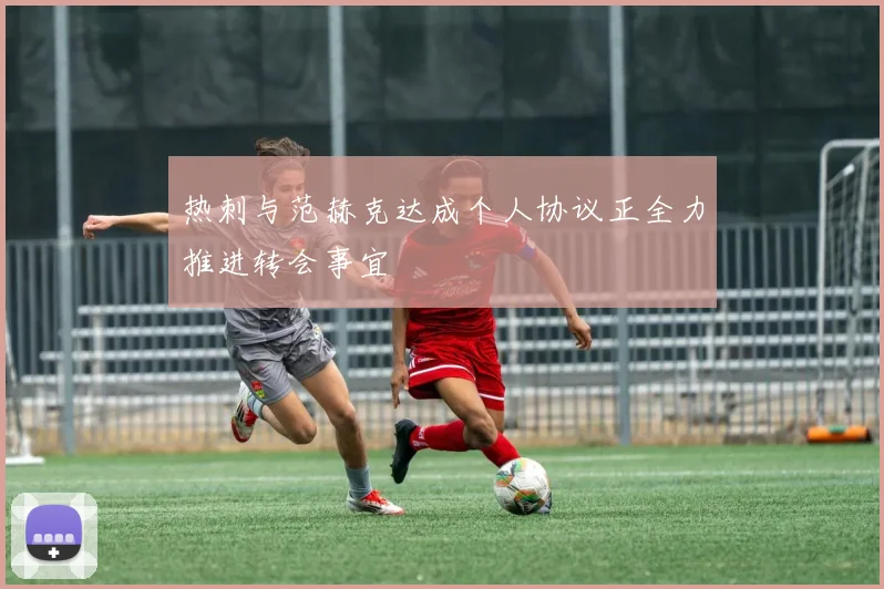 热刺与范赫克达成个人协议正全力推进转会事宜