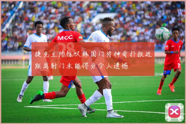 捷克主帅惊叹韩国门将神奇扑救近距离射门未能得分令人遗憾