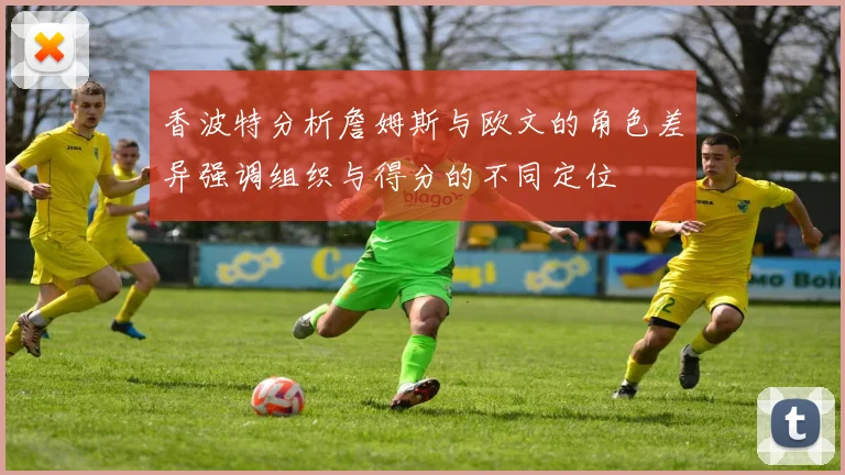 香波特分析詹姆斯与欧文的角色差异强调组织与得分的不同定位